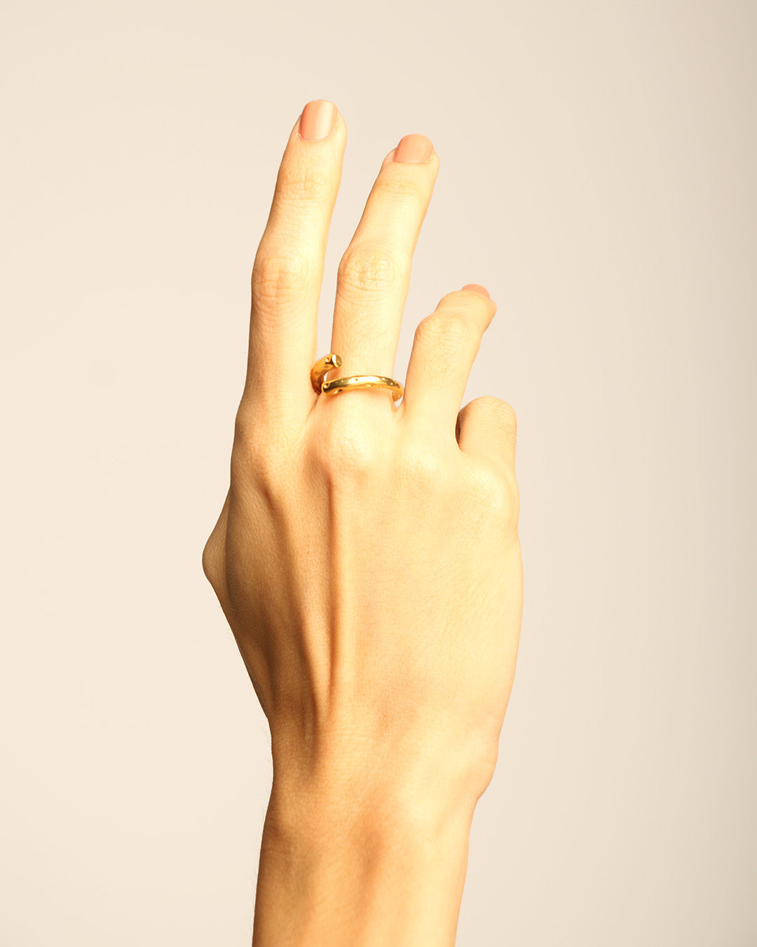 Anillo Hera-1